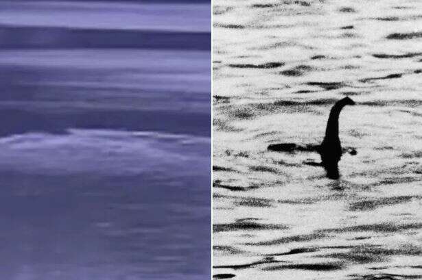 'Unknown animal' with 'eight foot long' body spotted poking out of waters at Loch Ness