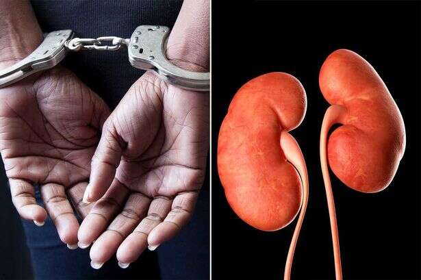 'Red notice' organ trafficker who flogged 56 kidneys on black market caught at border