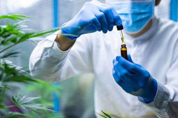 Medical-grade cannabis dished out by private doctors to Brits as £300m business booms