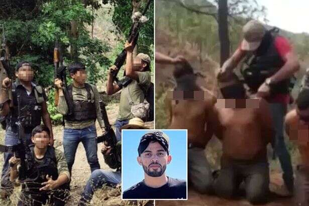 YouTuber’s death part of grim 'narco-terrorism' trend with musicians also cartel targets