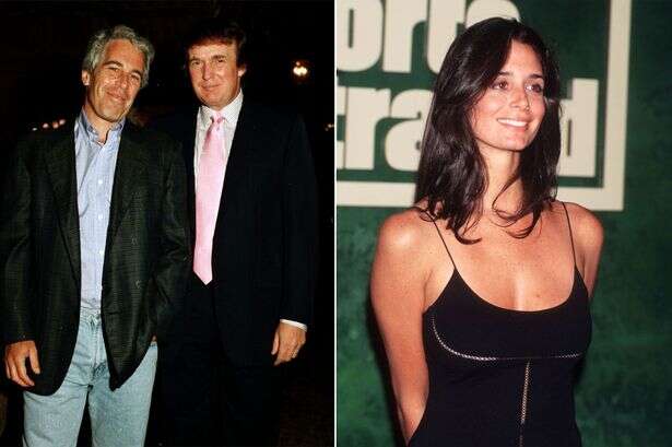 Trump accused of 'groping' 6ft model Stacey Williams after Epstein 'introduced them'