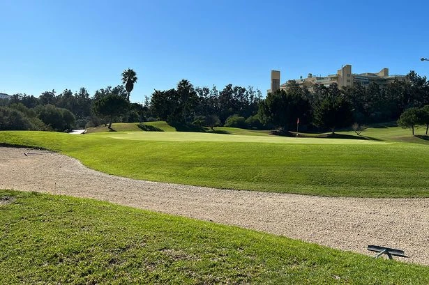 Tourists cheat death after golf buggy plunges down ravine at exclusive resort