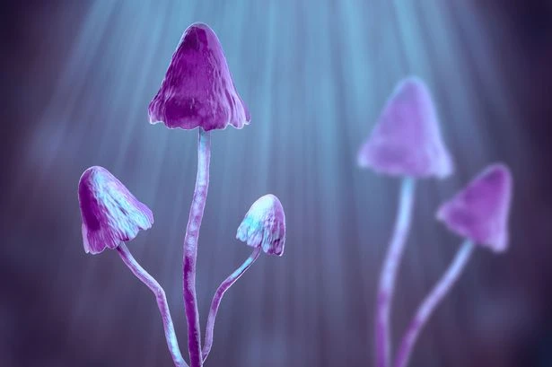 Psychedelic breakthrough exposes the secret behind LSD hallucinogenic properties