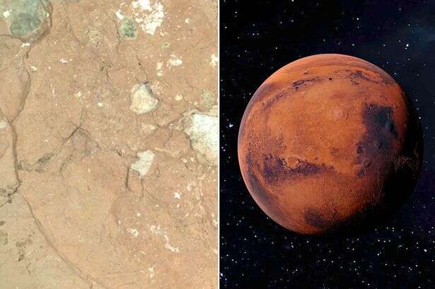 Mysterious green spots found on Mars leave boffins baffled after 'avocado' discovered