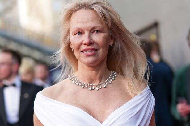 Pamela Anderson looks 'unrecognisable' as she goes makeup free at BAFTA celebrations