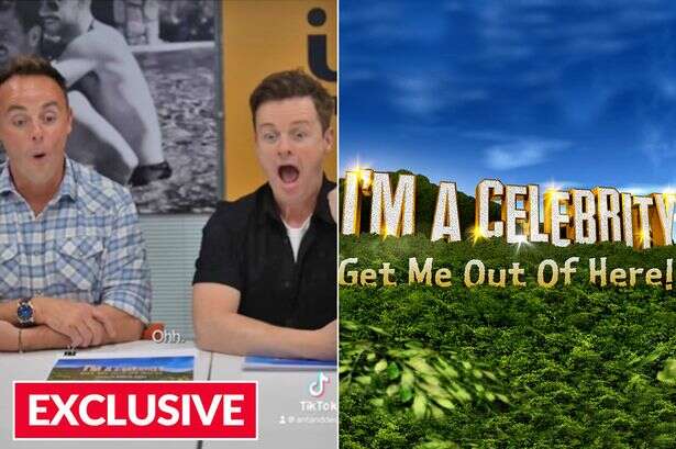 Ant and Dec 'hiding true feelings' about I'm A Celeb 2024 cast as they cringe at campmate