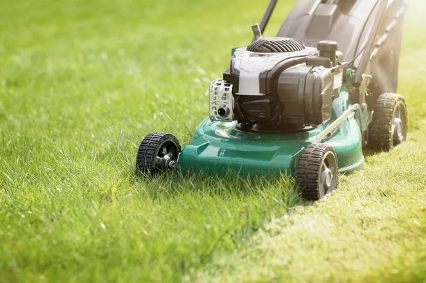 'Frying pan' fake lawns could burn your kids and pets' feet as temperatures surge to 36C