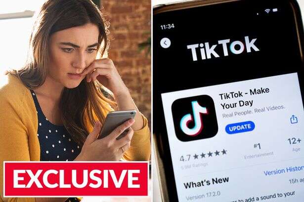 TikTok ban in UK 'is real possibility' as expert issues stark 'alternative' warning