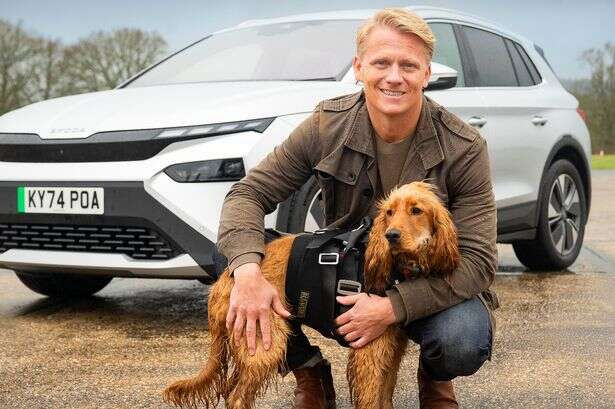 Electric VS Petrol: which car does your dog find more comfortable?