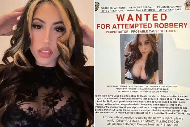 Sexy suspect's wanted poster has internet pleading her to steal their heart next