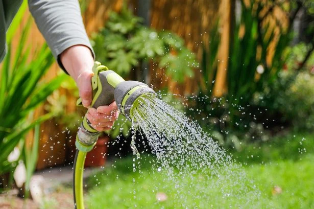 Betting suspended on national hosepipe ban as reservoirs run dry and Britain bakes