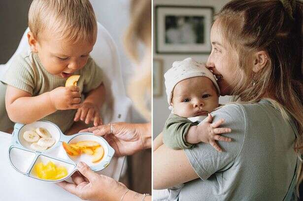 Babies' taste in food develops before birth – and it's down to what mum eats