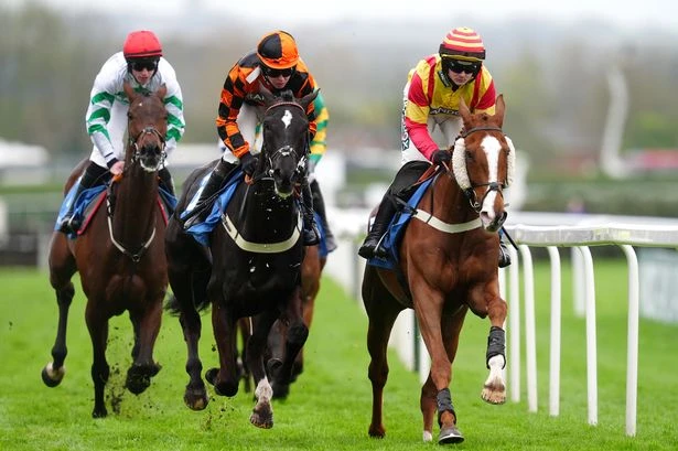 'This horse should not be missed' – Jason Heavey's Friday racing tips