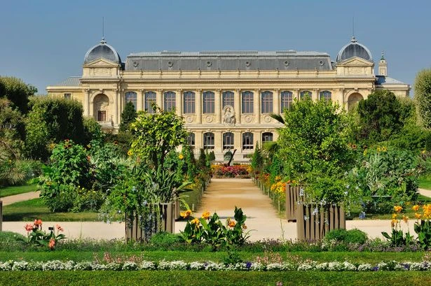 Second Paris museum heist as woman arrested over €1.5m gold theft after Louvre heist
