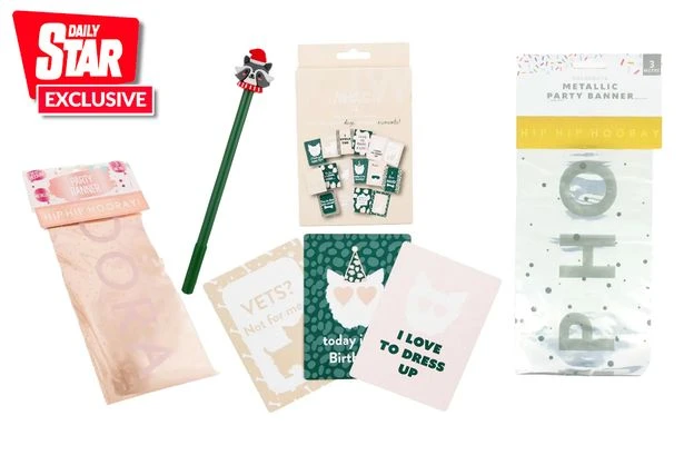 Major UK discount retailer launches huge clearance sale online – here's what we found for 10p