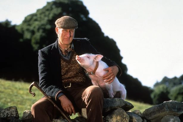 Babe actor made life-changing decision after watching cast 'eat his co-stars'