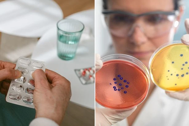 New 'superbug-fighting' antibiotic created as boffins warn 'it'll buy us time'