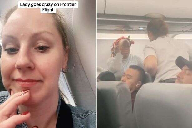 Plane passenger screams 'I am president' as she orders pilot to make a U-turn