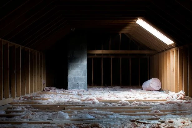 Parent spots attic wide open before five-year-old son makes horrifying discovery