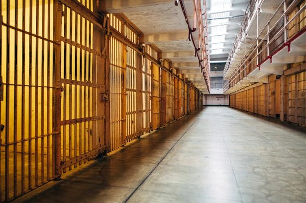 Four in five probation officers are against Government's early release scheme