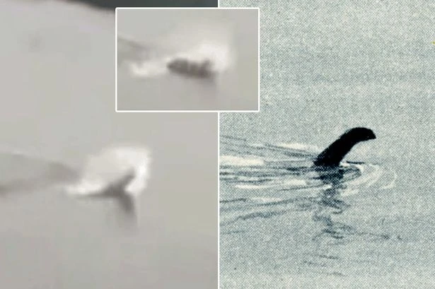 Mystery of 'Serbia's Loch Ness Monster' that could be 7-metre-long beast weighing 1,500kg