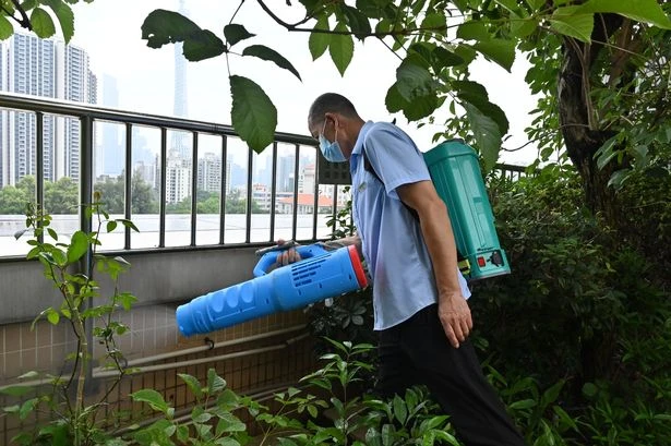 Cannibal mosquitos and killer fish' used to fight deadly virus after pandemic restrictions failed