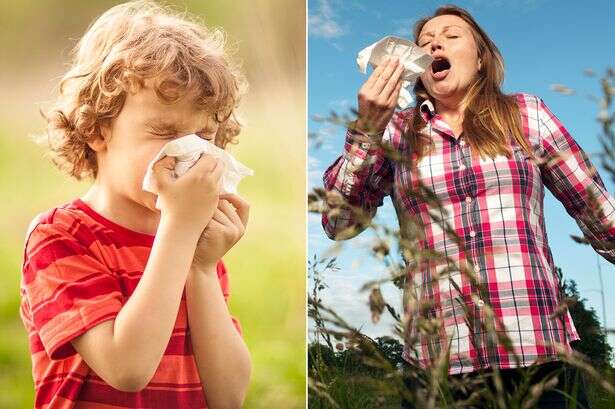 Hay fever hell for millions of Brits as early spring starts eight months of misery