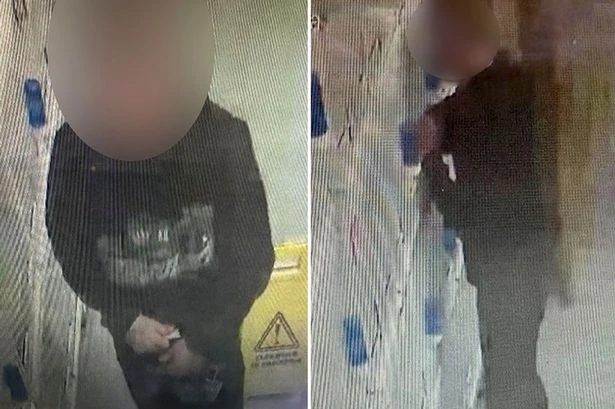 Thief robs pet shop of its beloved birds by stuffing them down his budgie smugglers