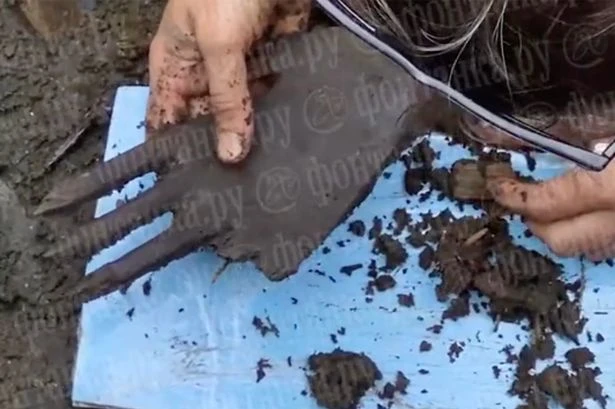 Mystery over 7,000-year-old 'six-fingered' wooden hand found in Russian bog