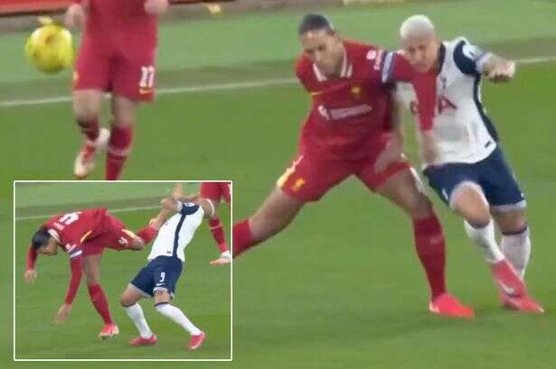 Virgil van Dijk 'lucky' to be on the pitch after 'stonewall red card' vs Tottenham