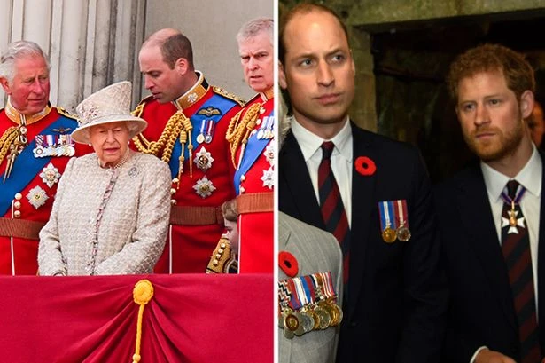Prince Harry slammed for doing 'everything possible to throw truth bombs at Queen'