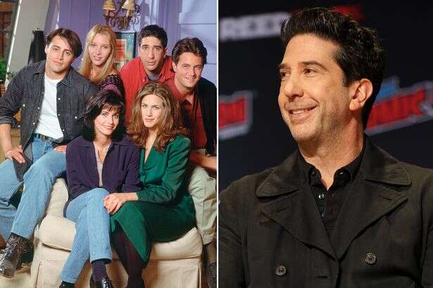 Friends star rushed to hospital during filming as David Schwimmer recalls horror accident