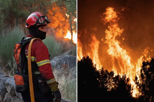 Boy, 14, gives wild reason for starting devastating wildfires as 97 blazes tackled