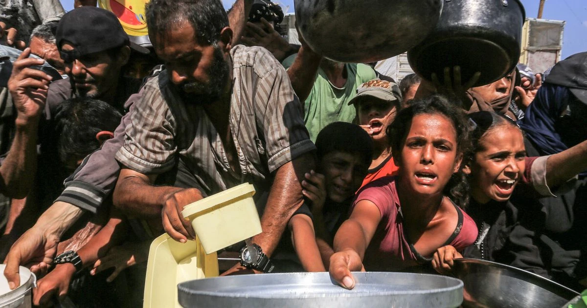 Gaza famine officially declared in 'deep stain on our collective humanity'