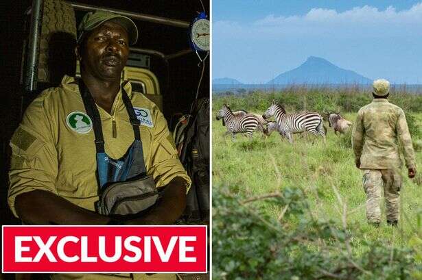 'I risk being mauled by baboons or shot by poachers - only one animal scares me'