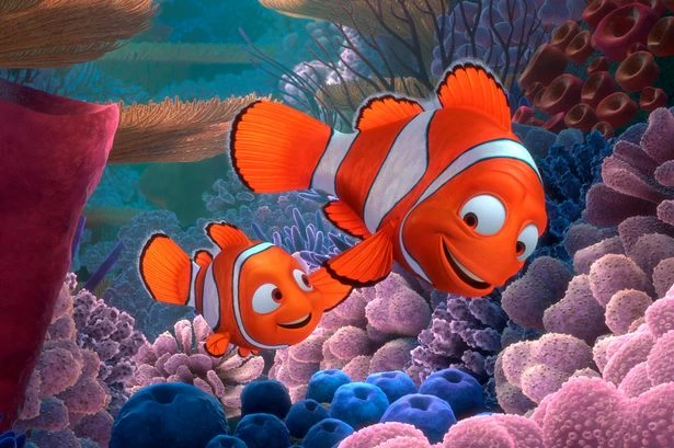 Finding Nemo now even trickier as climate change shrinks iconic species of fish