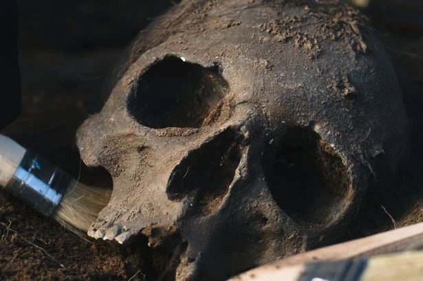 Macabre rise in sale of human remains in UK sparks fears of new era of grave-robbing