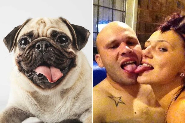 Couple who had sex with their pug painted normal life on Facebook as pics resurface