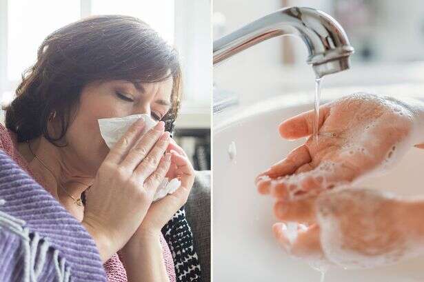 Dirty Brits told 'wash your hands' or face virus battle over winter