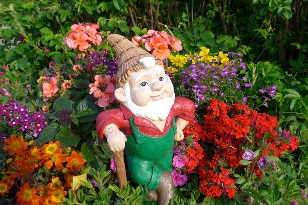 Front gardens with gnomes can knock £12,000 off neighbours' property value
