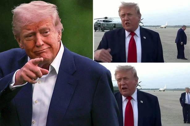 Donald Trump ‘replacement theory’ sparked by man in background of interview