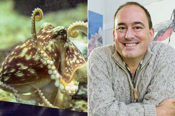 Creature that will rule world if humans die out revealed - and it's lurking beneath the waves