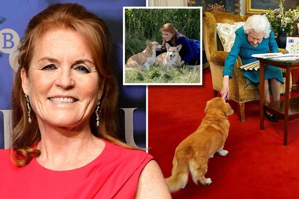 Queen still speaks to Sarah Ferguson – as ghost lives in her corgis and says 'woof'