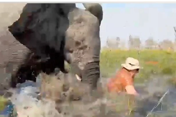 Tourist's lucky escape after six-tonne elephant flips canoe and tries to gore her
