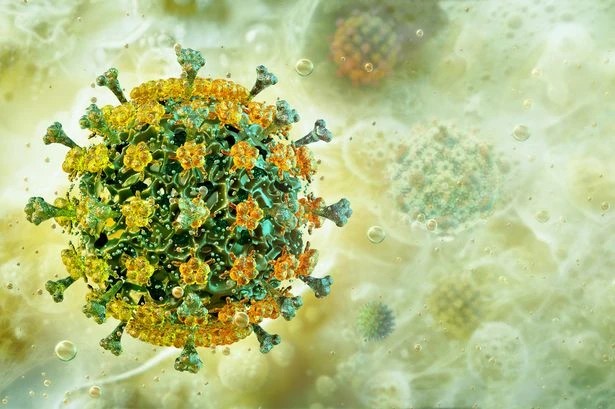Deadly virus with 'life-threatening conditions' takes over country as WHO issues warning