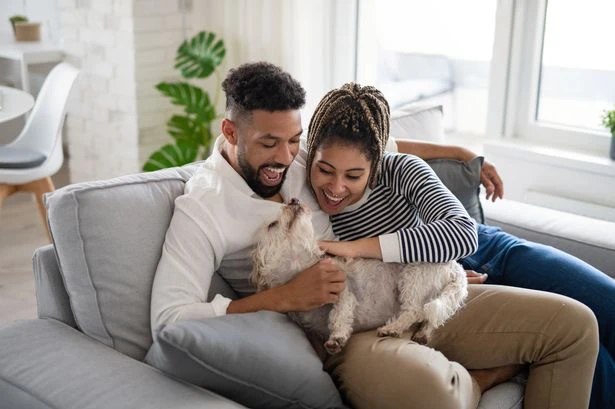 Millions of Brits stay in unhappy relationships because of puppy love