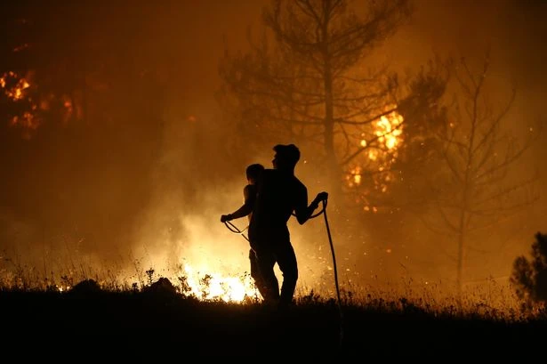New travel advice for 'extreme weather' for Turkey after 50C heat and wildfires killing 17 people