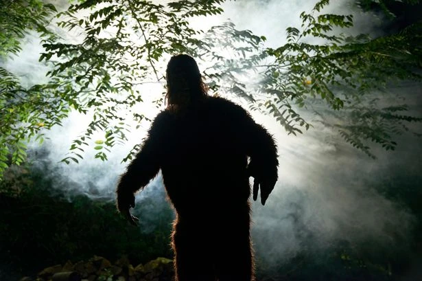 'Britain's Bigfoot' is part-dog part-monkey beast living in UK's UFO hotspot