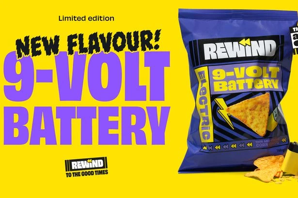 Nostalgia-obsessed food boffins launch bizarre battery-flavoured crisps