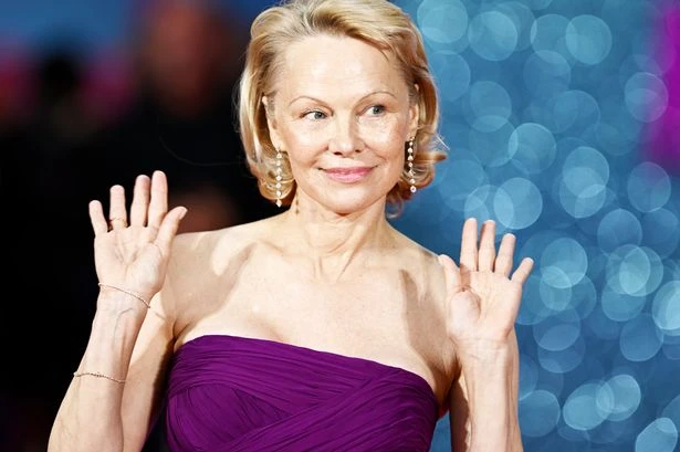 'Scandalous' Pamela Anderson show she refused to watch is now available for free